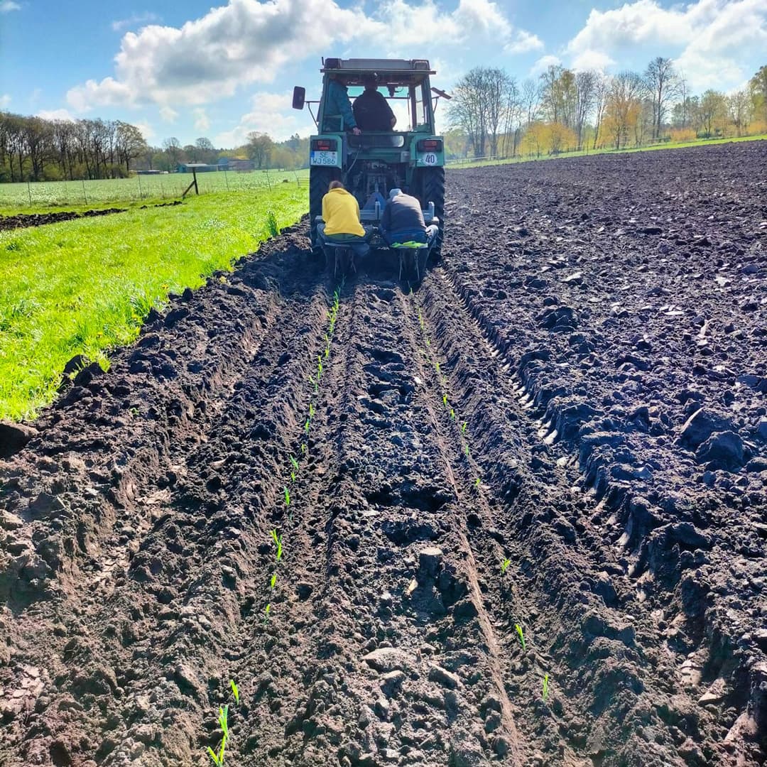 Ein Traktor auf dem Feld