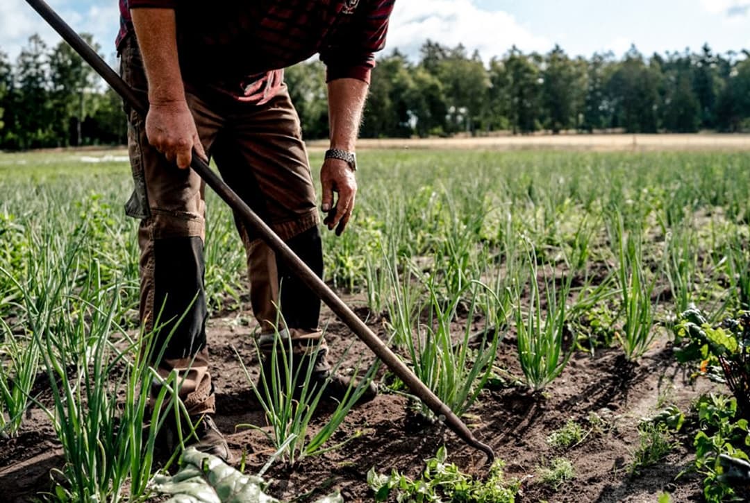Ein Mann arbeitet auf einem Feld