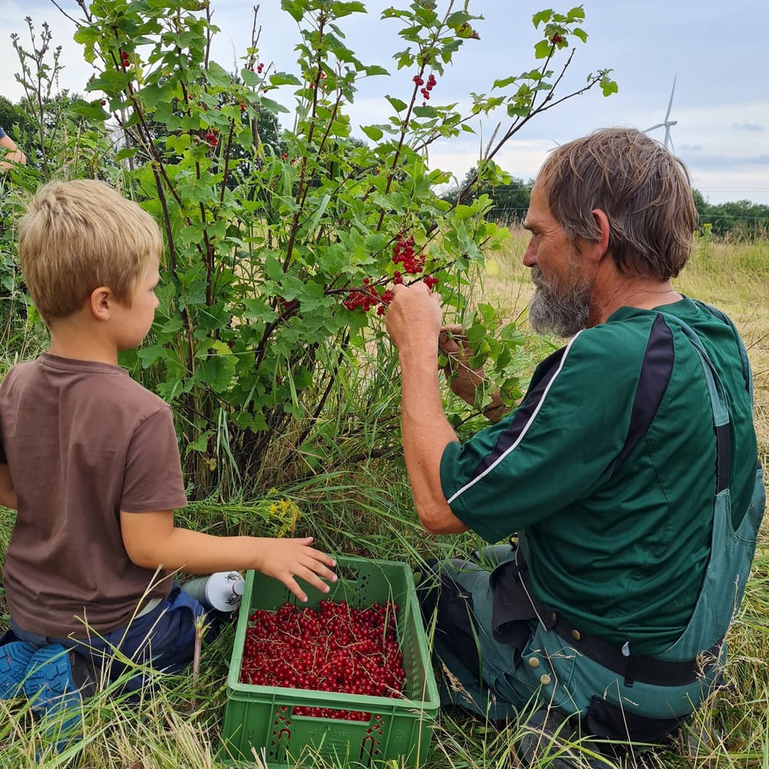Ein Landwirt erklärt einem Kind die Ernte