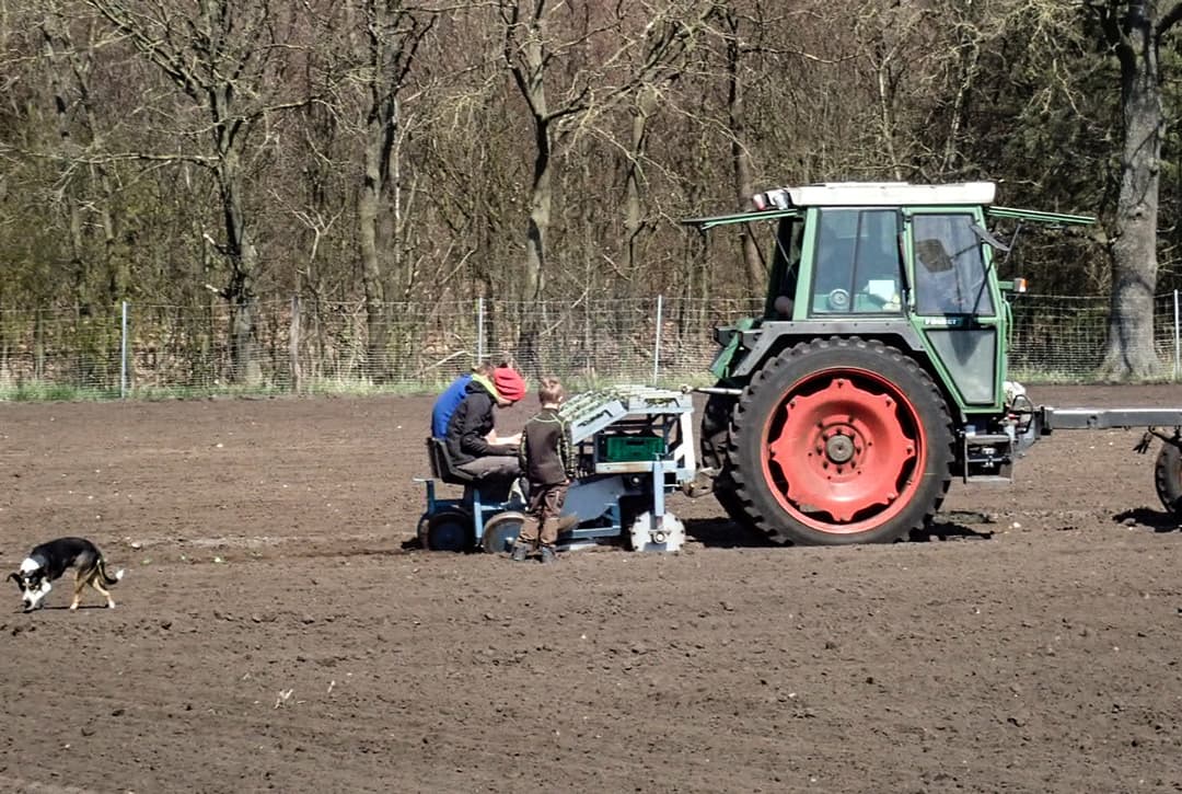 Menschen pflanzen Salate mit einem Traktor