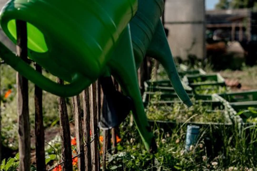 Gieskannen im Garten