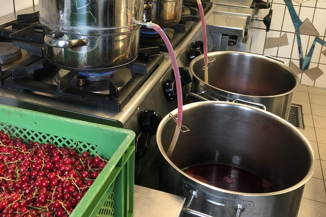 Entsaften von Beeren in der Wirtschaftsküche